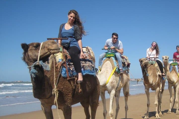 Camel Ride on Essaouira Beach: 2-Hour Dune and Atlantic Coast Experience photo 6