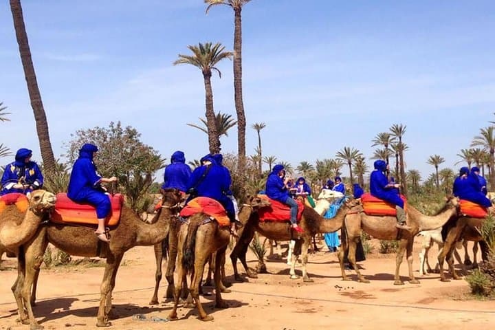 Marrakech Palmeraie Quad Bike and Camel Ride — Half-Day Adventure
