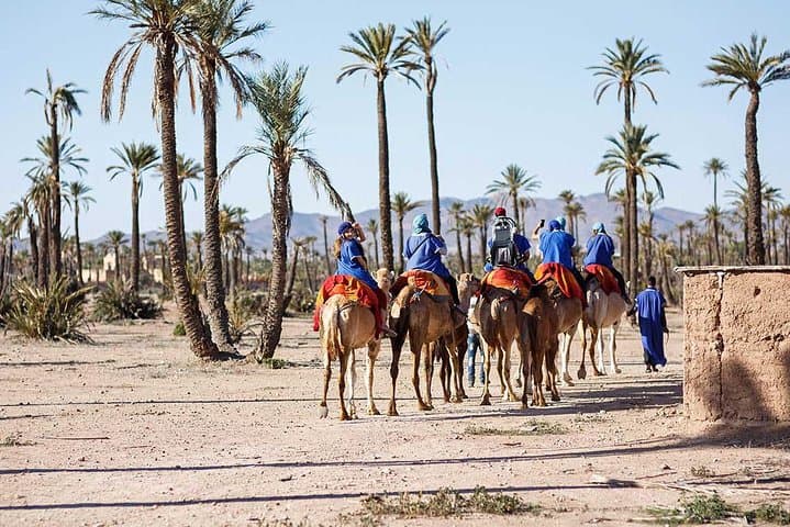 Marrakech Palmeraie Quad Bike and Camel Ride — Half-Day Adventure photo 3