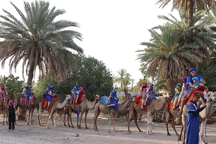Marrakech Palmeraie Quad Bike and Camel Ride — Half-Day Adventure photo 5
