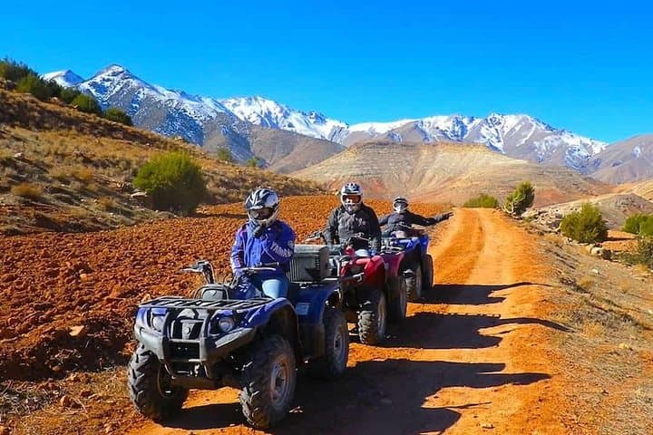 Marrakech Palmeraie Quad Bike and Camel Ride — Half-Day Adventure photo 2