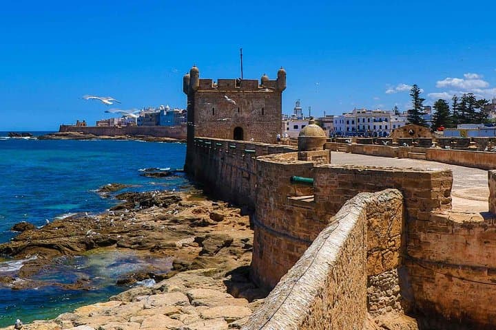 Essaouira Day Trip from Marrakech: Atlantic Ramparts, Argan Groves & Medina Strolls photo 4