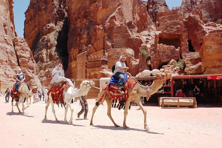 Petra Day Trip from the Dead Sea: Private Transfer and Guided Visit to the Red Rose City photo 5