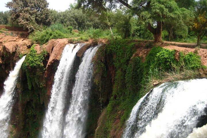 Ouzoud Waterfalls Day Trip from Marrakech: Private Tour, Hike & Berber Village Visit photo 6