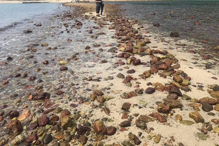 Sharp Island Geopark Afternoon Hike: Sai Kung Half-Day Coastal Trail photo 2