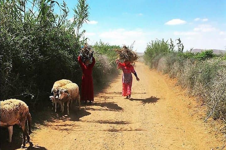 Agafay Desert Buggy Tour from Marrakech — Palm Groves, Berber Tea & Atlas Views photo 5