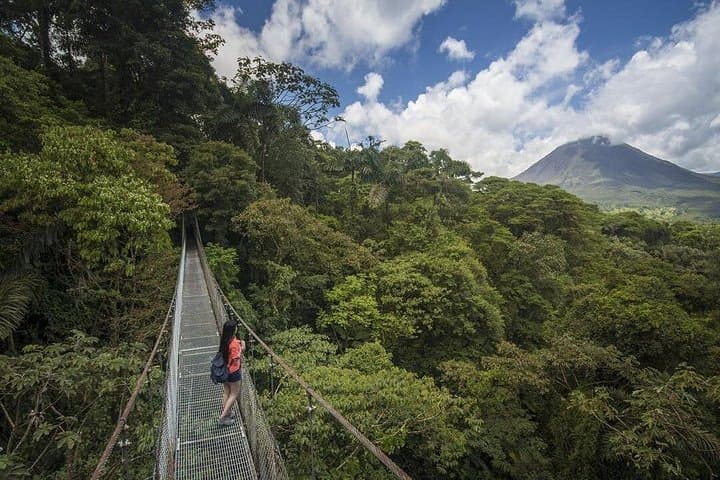 Arenal Hanging Bridges, La Fortuna Waterfall & Volcano: Full-Day Adventure from La Fortuna photo 2