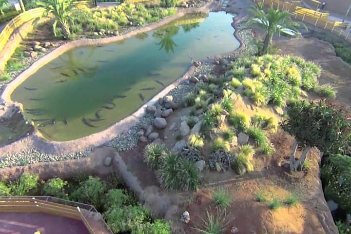 Visit Croco Parc Agadir: Nile Crocodiles, Reptiles & Botanic Garden Experience photo 3