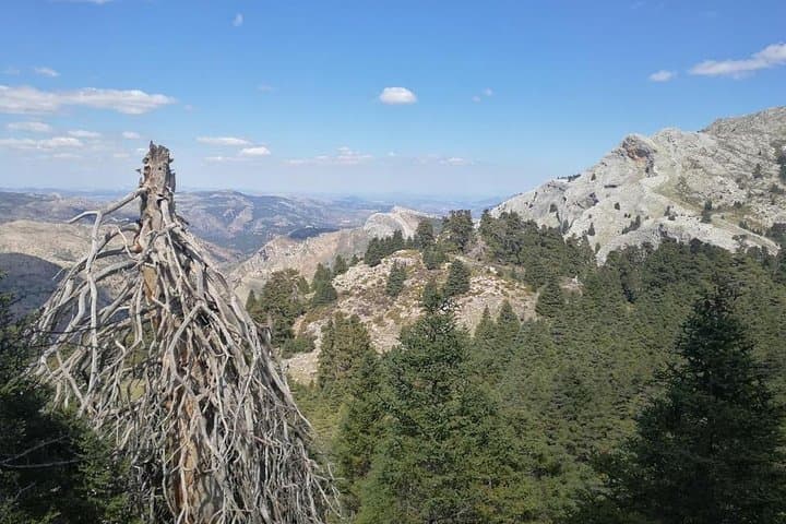 Day Hikes from Marbella & Estepona: Guided Walks into the Andalusian Hinterland photo 3
