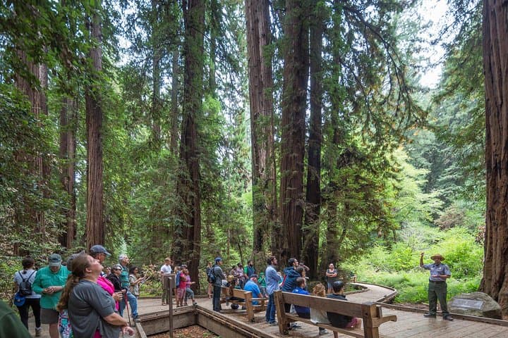 Muir Woods, Sausalito & Escape From the Rock Cruise: Redwoods to Alcatraz photo 6