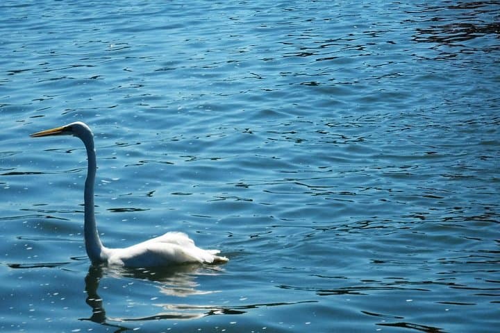 Paddle Las Isletas: Lake Nicaragua Kayak Tour from Granada photo 4