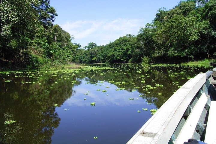 4-Day Tambopata Jungle Expedition: Sandoval Lake, Canopy Tower & Clay Licks
