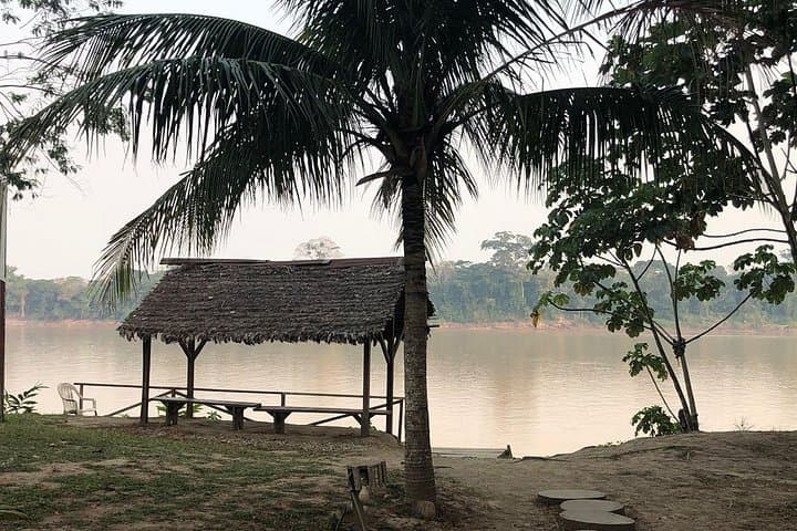 3-Day Tambopata Jungle Adventure: Lake Sandoval, Canopy & Clay Licks photo 3