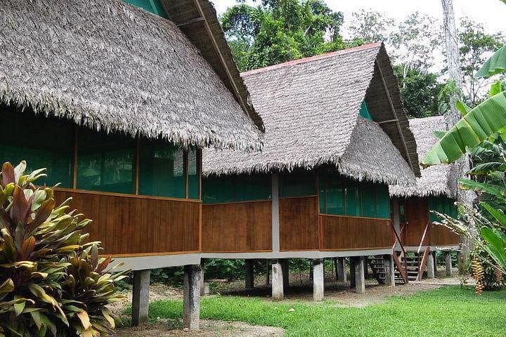 3-Day Tambopata Jungle Adventure: Lake Sandoval, Canopy & Clay Licks photo 4