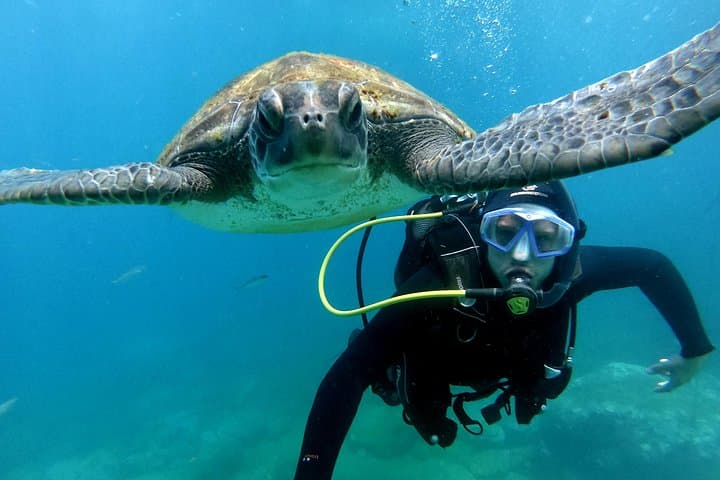 Discover Scuba Diving with Atlantic Turtles in Tenerife