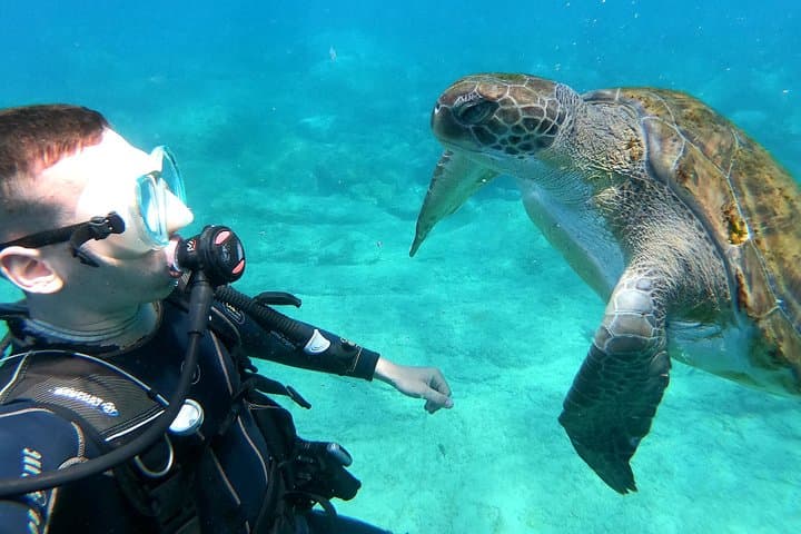 Tenerife First-Time Scuba Dive: Turtle Habitat & Snorkel in Costa Adeje photo 2