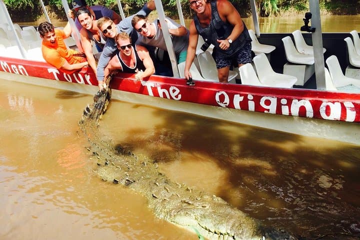 Tarcoles Crocodile Safari: Shore Excursion from Puntarenas