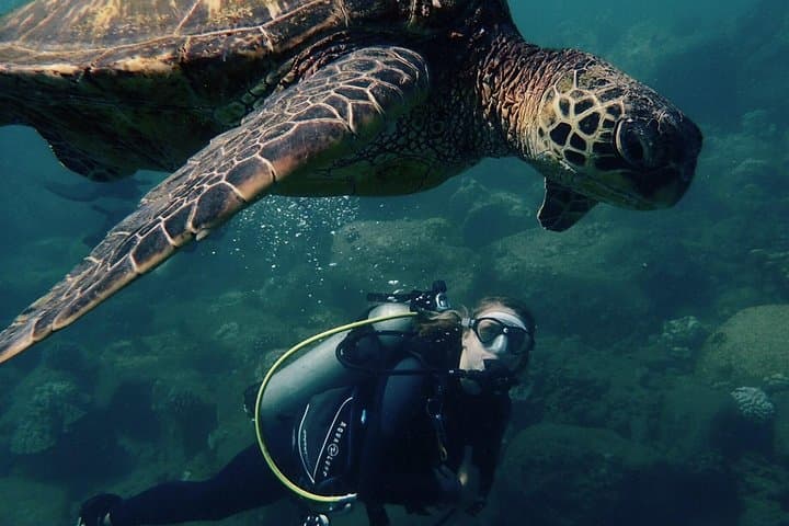 Kauai’s Ultimate South Shore Two‑Tank Shore Dive at Koloa Landing