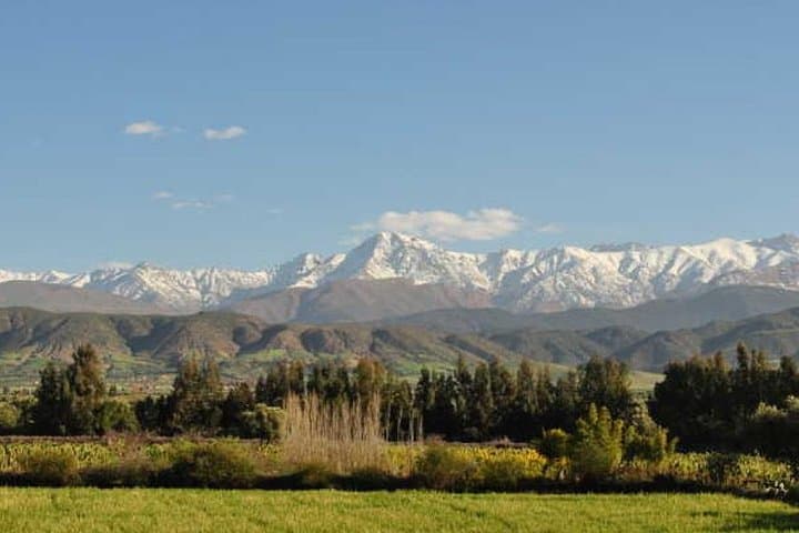 Ourika Valley & Setti-Fatma: A Day with Berber Life and Waterfalls photo 3