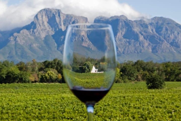 Cape Town Private Robben Island & Winelands: Full-Day History and Wine Tasting Tour photo 4