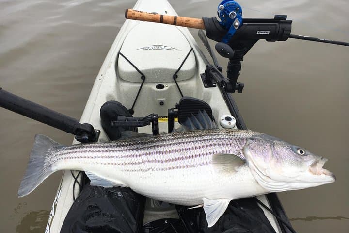 Guided Kayak Fishing Tour in the NYC Metro — Westchester Kayak Fishing Experience