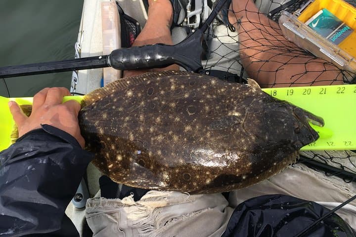 Guided Kayak Fishing Tour in the NYC Metro — Westchester Kayak Fishing Experience photo 3