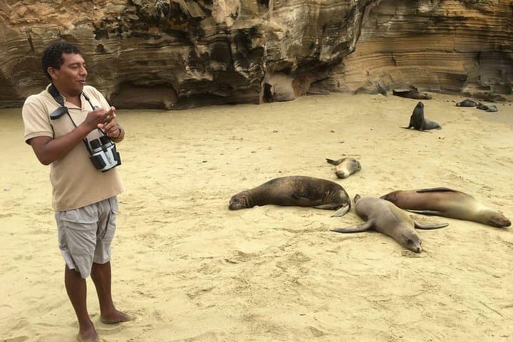 4-Day Galapagos Island-Hopping: Snorkel Los Tuneles & Darwin Station photo 5