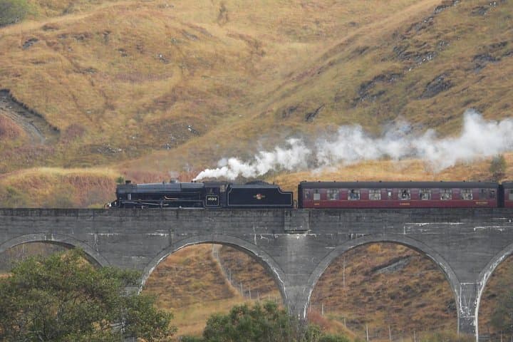 Glenaladale Cruise on Loch Shiel: Viaduct Views, Wildlife & Harry Potter Sights