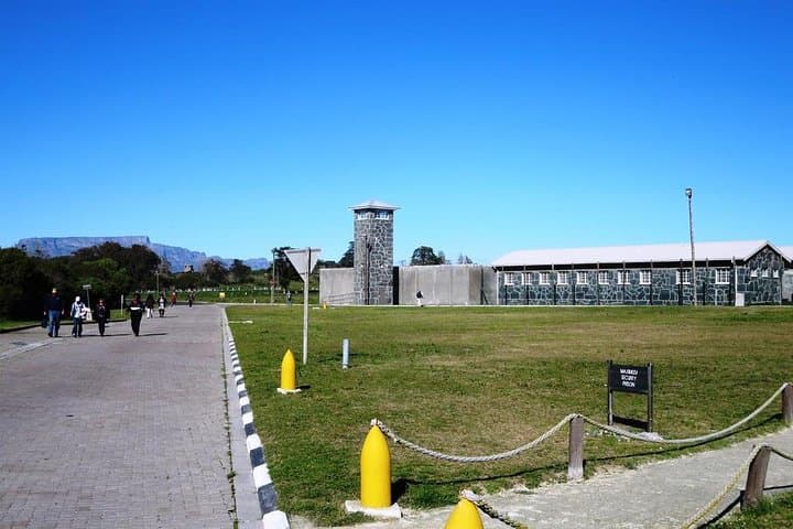 Cape Town Cape Peninsula Day Tour — Table Mountain, Boulders Penguins & Cape of Good Hope photo 3