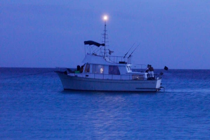 Private Romantic Curaçao Land and Sea Tour for Two — SUV & Trawler Experience photo 6