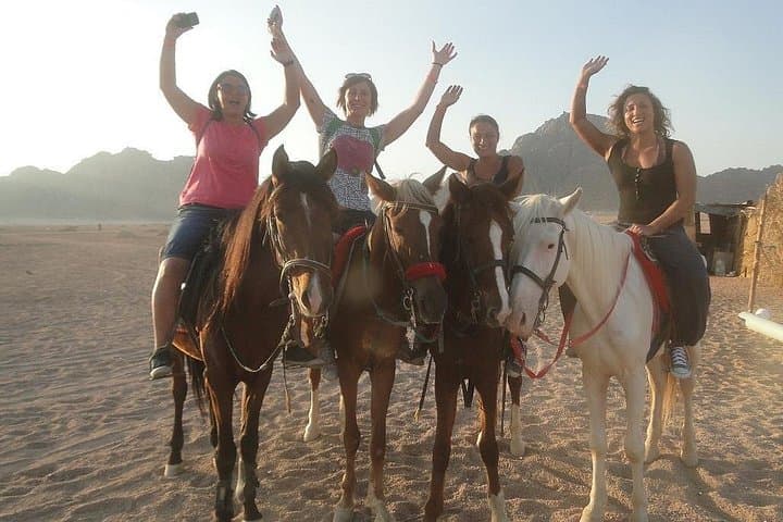 Sunset Horse Ride in Sharm el Sheikh Desert: Bedouin Village Experience photo 1
