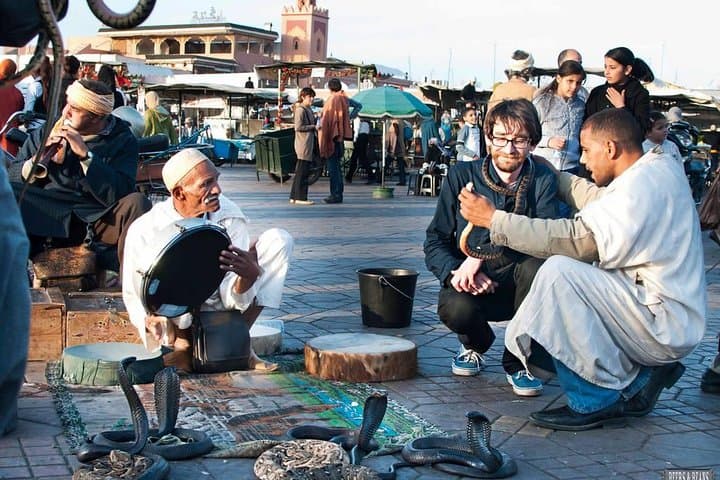 See Marrakech Like a Local: 4-Hour Official Medina Walking Tour
