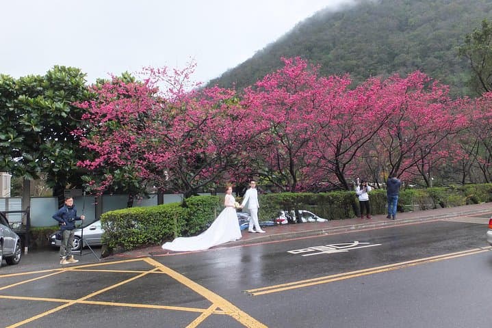 Yangmingshan, Beitou Hot Springs & Tamsui: One-Day Natural and Cultural Loop from Taipei