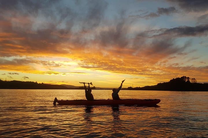 Lake Rotoiti Evening Kayak Tour — Hot Springs, Glowworms & Kiwi BBQ near Rotorua photo 4