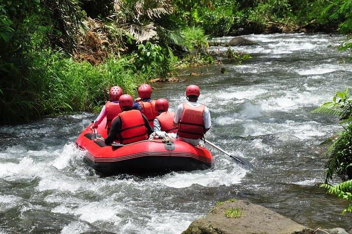 Ayung River Rafting from Ubud — 2-Hour Whitewater Adventure in Bali photo 5