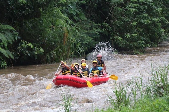 Ayung River Rafting from Ubud — 2-Hour Whitewater Adventure in Bali photo 6