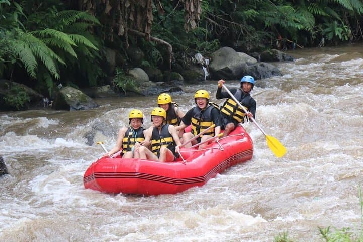 Ayung River Rafting from Ubud — 2-Hour Whitewater Adventure in Bali photo 4
