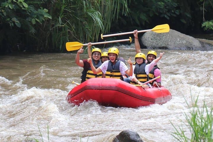 Ayung River Rafting from Ubud — 2-Hour Whitewater Adventure in Bali photo 3