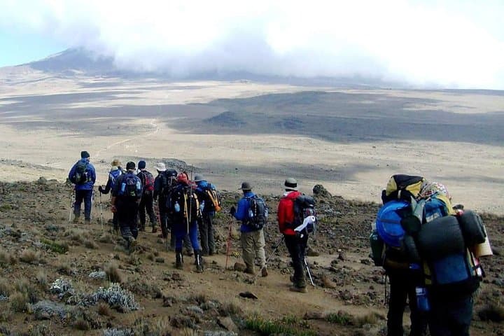 6-Day Machame Route Climb to Uhuru Peak on Mount Kilimanjaro photo 2