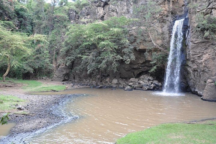 Lake Nakuru Day Trip: Flamingos, Rhinos & Rift Valley Game Drive photo 2