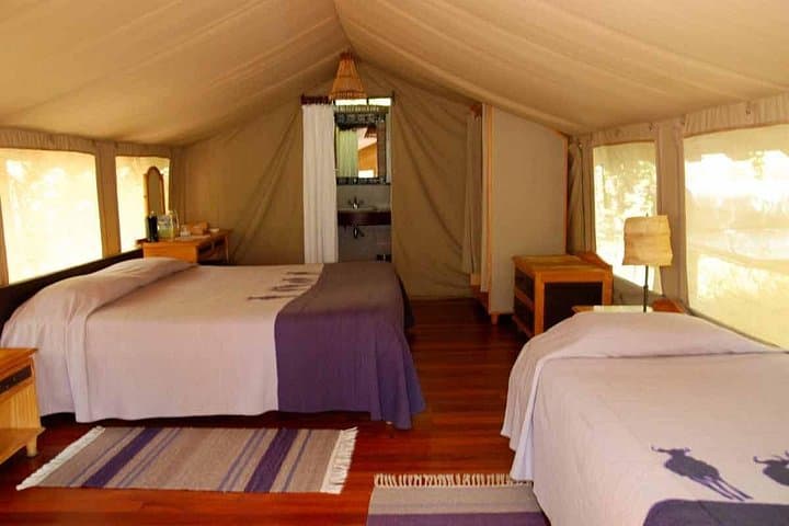5-Day Mombasa Safari: Tsavo East, Tsavo West, Amboseli & Ngutuni Wildlife Circuit photo 3