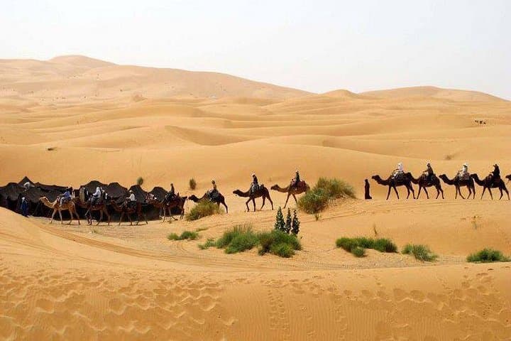 Fes to Marrakech 3-Day Desert Tour — Merzouga Dunes, Todra Gorges & Ait Ben Haddou photo 2