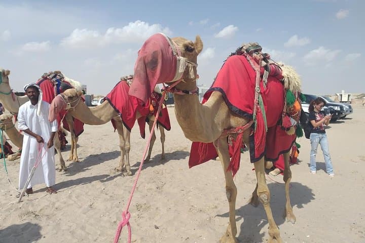 Doha Desert Safari: Dune Bashing, Sandboarding & Inland Sea Adventure photo 4