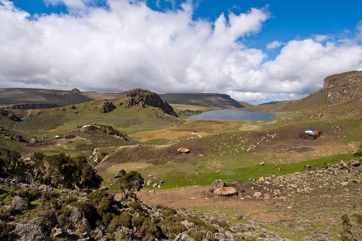 Bale Mountains 5-Day Trek: Ethiopian Wolves, Afro-Alpine Plateau & Harenna Forest photo 2