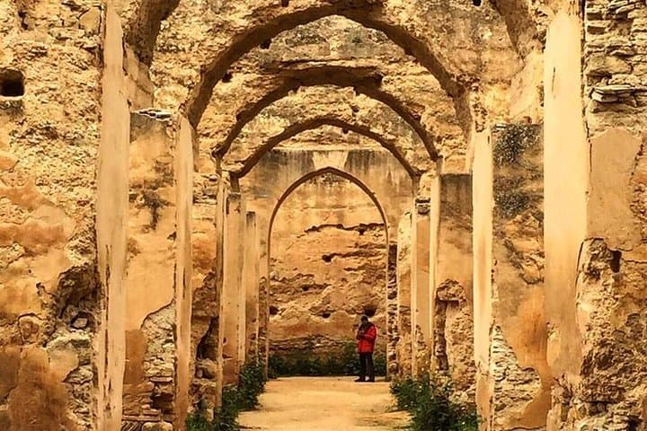 Volubilis, Moulay Idriss & Meknes Day Trip from Fes — Roman Ruins to Imperial Gates photo 3