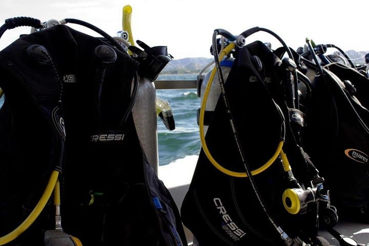 Catalina Islands Two-Tank Scuba: Day Dives from Playa Flamingo photo 2