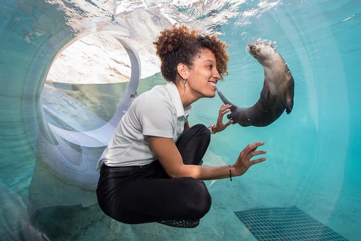 Miami All-Inclusive Pass: See 25+ Top Attractions with One Digital Pass photo 6