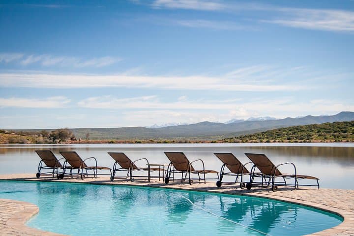 2-Day Western Cape Private Safari — Oudtshoorn & Garden Route Big Five Experience photo 2