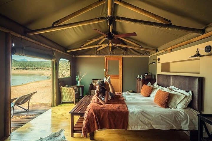 2-Day Western Cape Private Safari — Oudtshoorn & Garden Route Big Five Experience photo 5