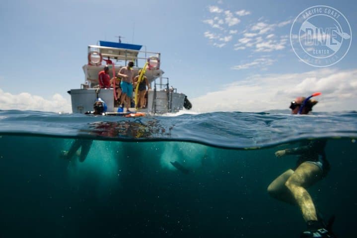 Catalina Islands Snorkel from Playa Flamingo — Two Dives in Costa Rica's Gulf photo 2